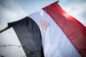 أزمة كبرى تشهدها مصر في انتاج الدواجن لسببين رئيسيين!