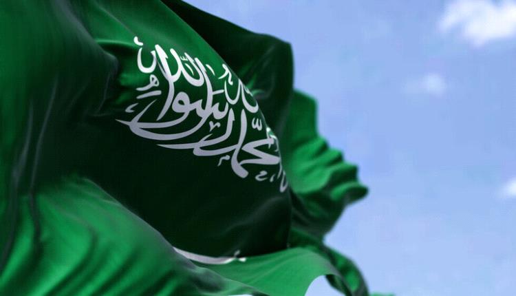 قناة ألمانية تكشف سبب تقليص السعودية لمشاريع عملاقة 